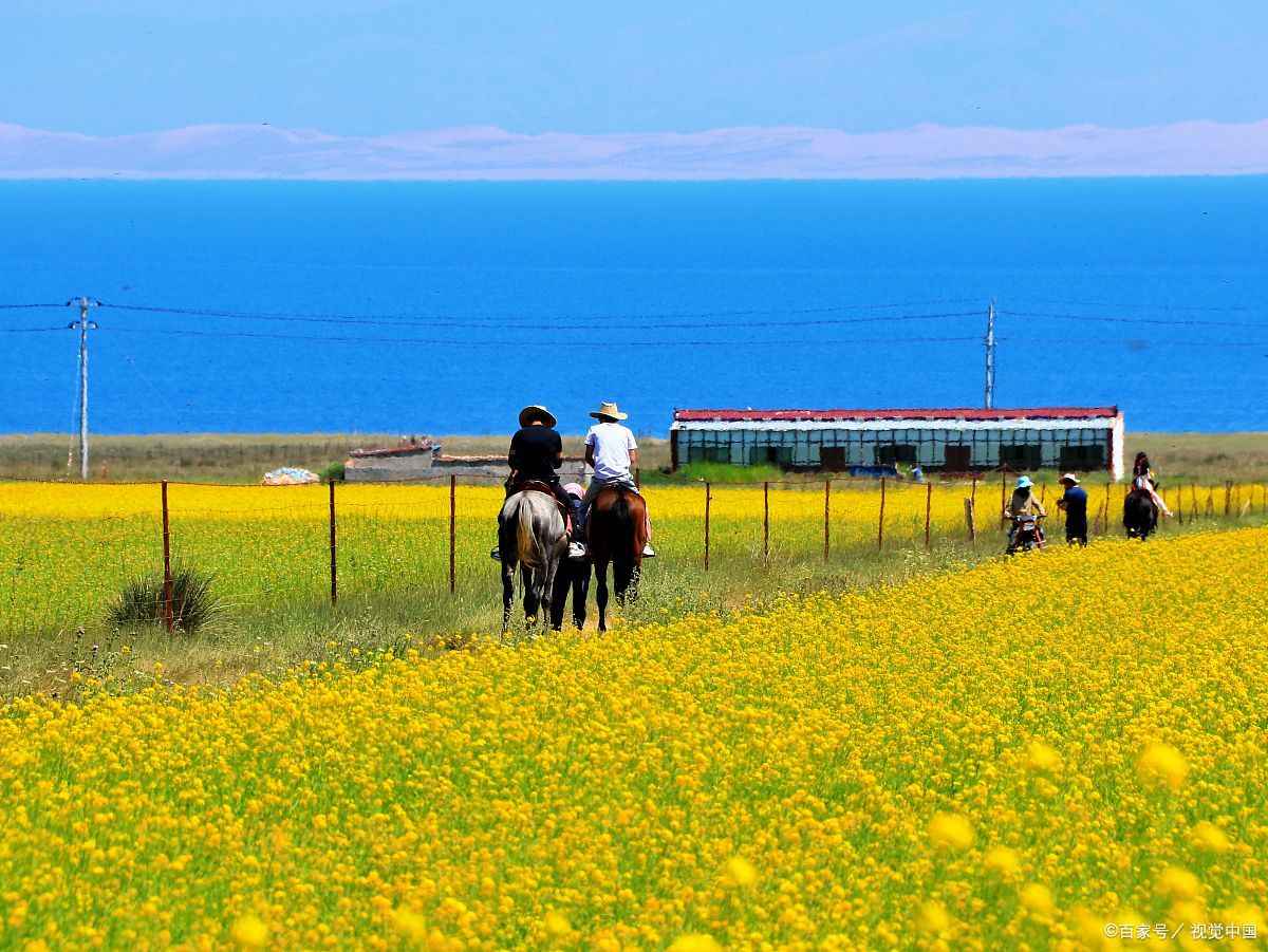 青甘大环线最佳旅游时间是几月几日